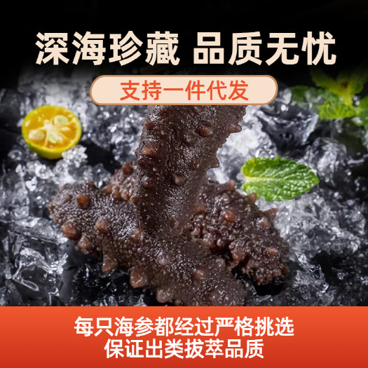 山东即食海参8-9头 工厂直发 电商团购稳定供货 支持定制