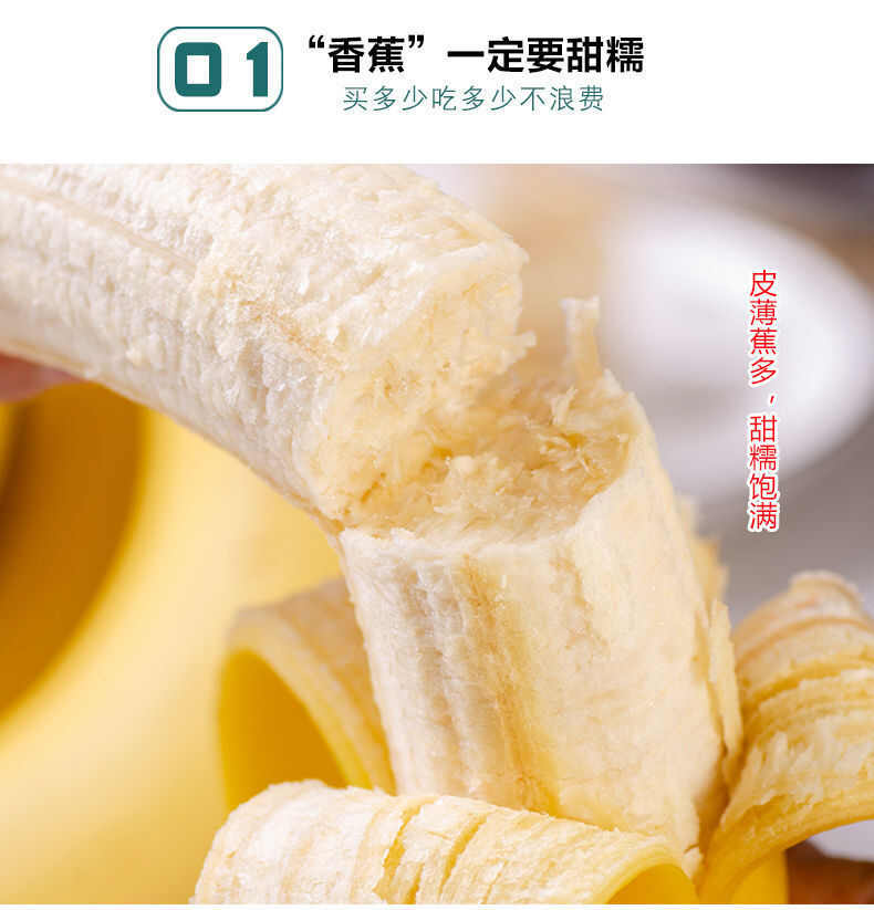 云南河口香蕉高山香蕉10斤新鲜水果当季香蕉批发