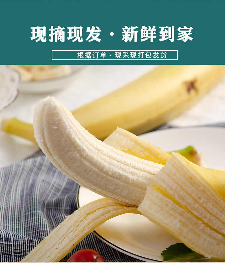 云南河口香蕉高山香蕉10斤新鲜水果当季香蕉批发
