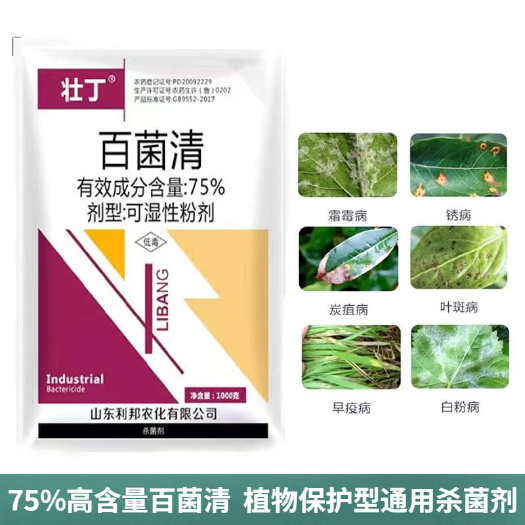 75%百菌清灰霉病白粉病黄瓜霜霉病叶斑病专用药多菌菌灵杀菌剂