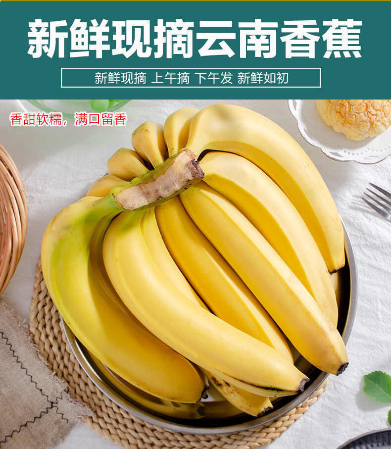 云南河口香蕉高山香蕉10斤新鲜水果当季香蕉批发