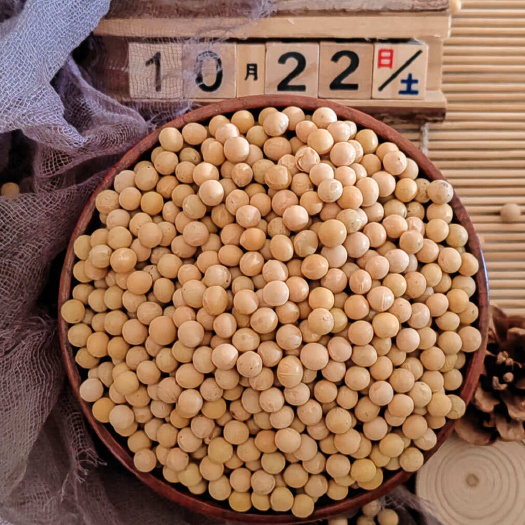 临沂东北大豆非转基因豆浆豆豆腐豆豆制品原料
