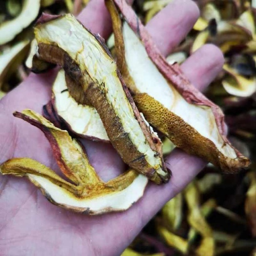 昆明黄牛肝菌牛肝菌黄牛肝菌干片批发
