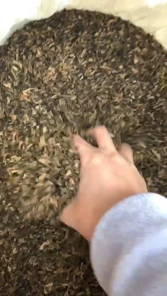 杭州【花椰菜梅干菜】花椰菜梅干菜 梅干菜扣肉包子电商跑量