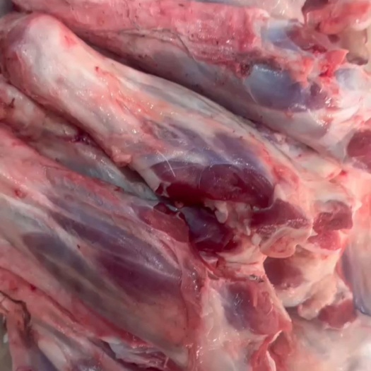 沧县羔羊前腱，羊腱子