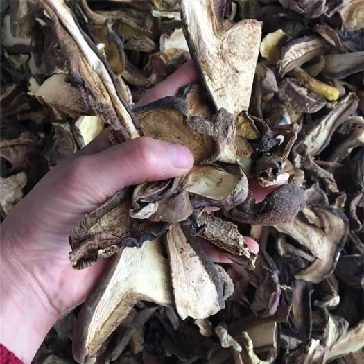 昆明黑牛肝菌云南黑牛杆菌牛肝菌干片