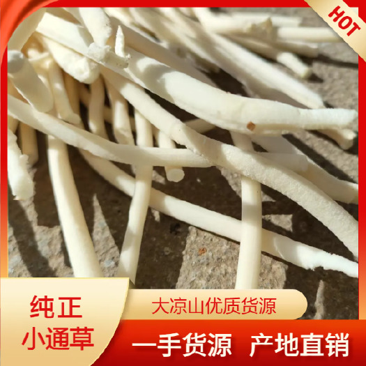 纯小通草产地一手货源