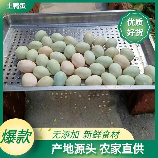 峡江县江西吉安精品土鸭蛋 农家散养现 货速发