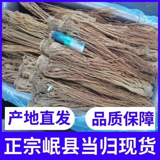 岷县岷县当归 产地直发 一手货源 公司发货