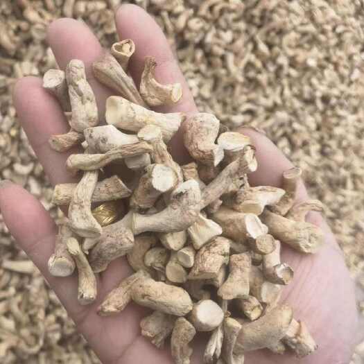 泌阳县河南香菇脚单剪 干货香菇脚产地直发 量大从优