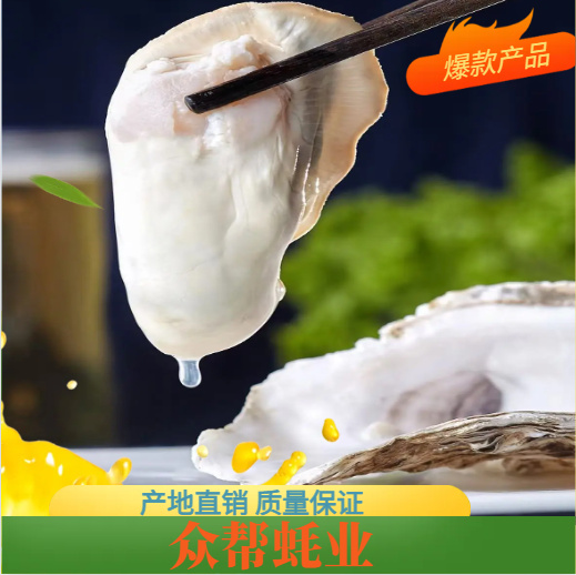 大连大连直供新鲜生蚝水产贝类鲜活现捞当日发货