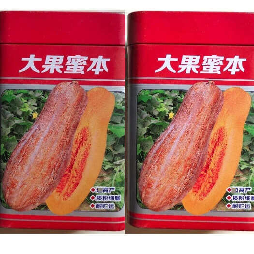 大果蜜本南瓜种子 质粉细腻 糖分高 腊粉重