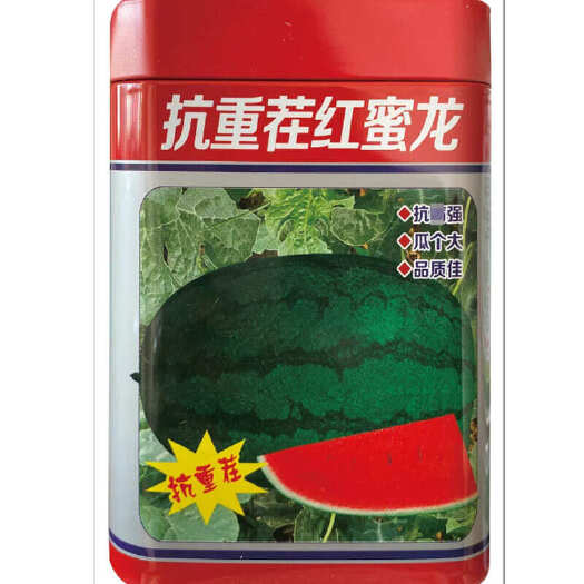 合肥抗重茬红蜜龙西瓜种子 大果花皮懒汉西瓜种子 细嫩多汁