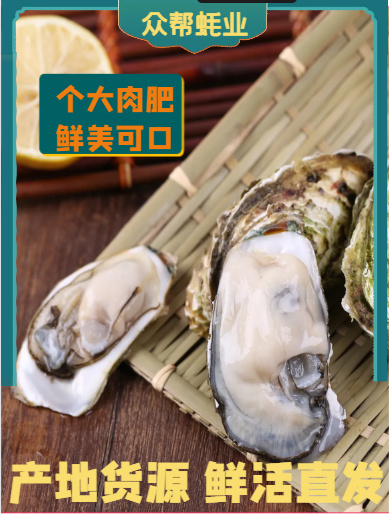新鲜水产贝类生蚝 现捕现发品质保障 每日新鲜供货