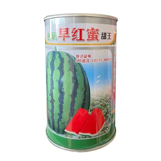 合肥早红蜜甜王西瓜种子 果肉大红 肉质紧脆 皮硬耐裂