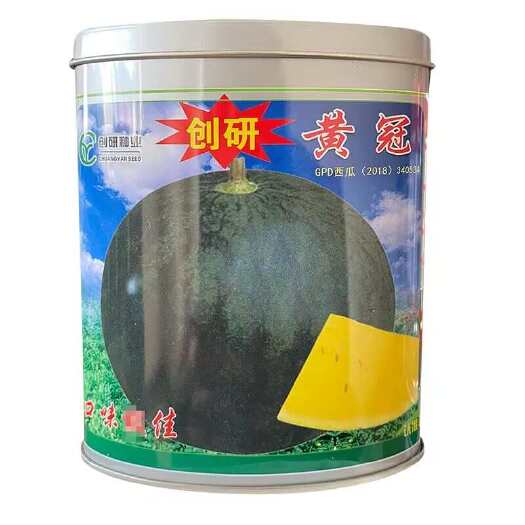 合肥创研黄冠西瓜种子 黄瓤西瓜种子黄肉大果 果肉晶黄 抗病