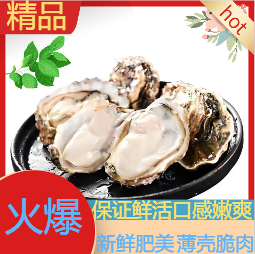 大连鲜活蚝来自大连新鲜现挖即发