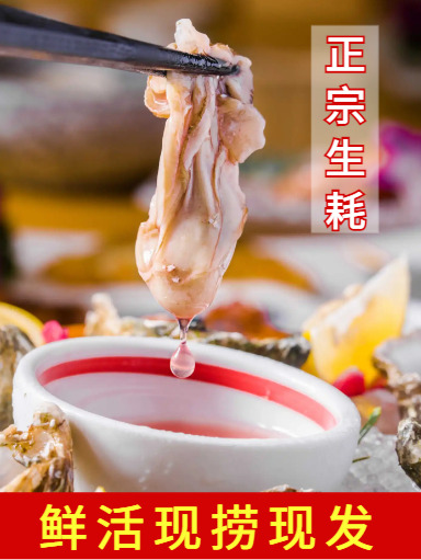 大连生新鲜肥美 当日采摘发货 直供生鲜水产