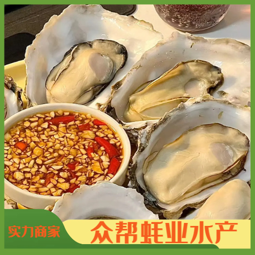 大连生鲜蚝來自大连新鲜捕捞现发货