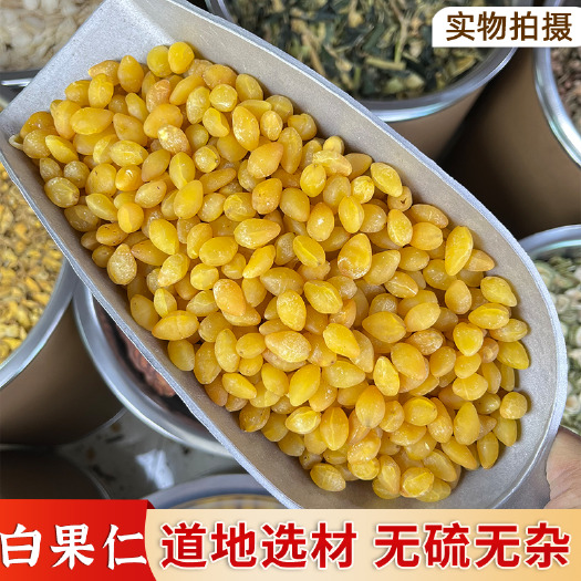 普宁市【永康元药业】白果仁批发中药材特级干白果银杏果白果