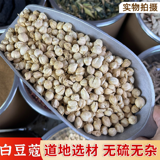 普宁市【永康元药业】白豆蔻批发香料调料全干无硫白蔻炒菜调料