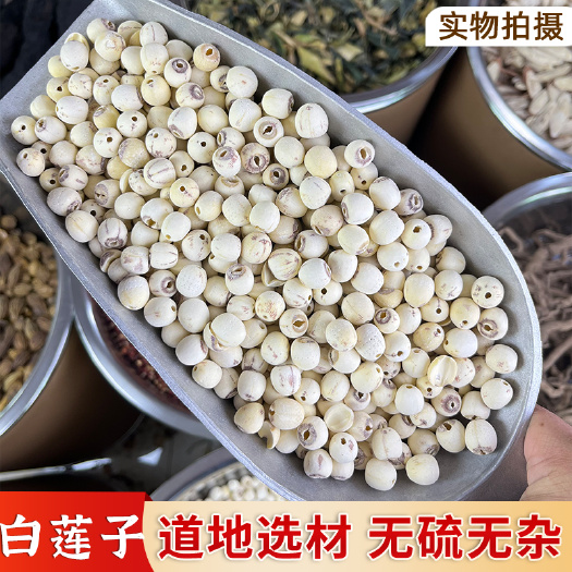 普宁市【永康元药业】白莲子批发湖南特产干货去芯