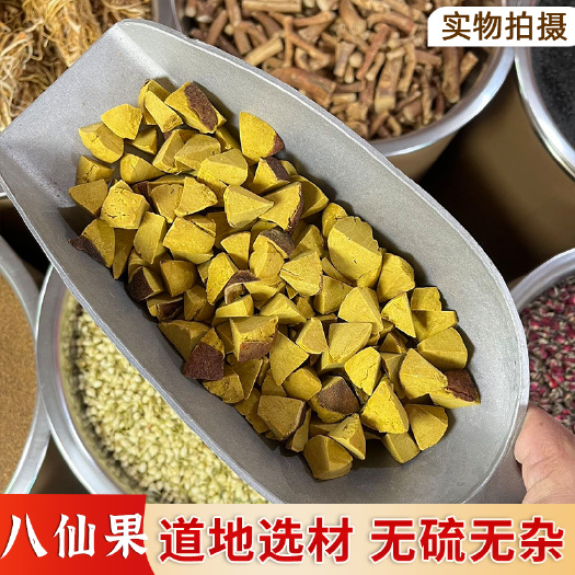 普宁市【永康元药业】八仙果批发