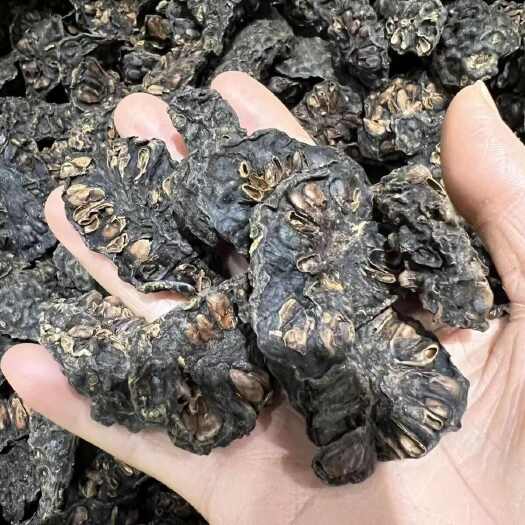 诺力果干片诺力果干片诺力果干片诺力果干片批发