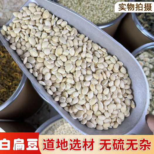 普宁市【永康元药业】正宗白扁豆中药材药用新货