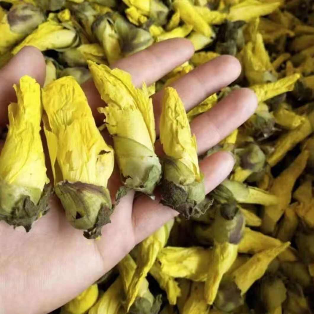 紫蜀秋葵黄蜀秋葵秋葵花紫蜀秋葵黄蜀秋葵秋葵花批发