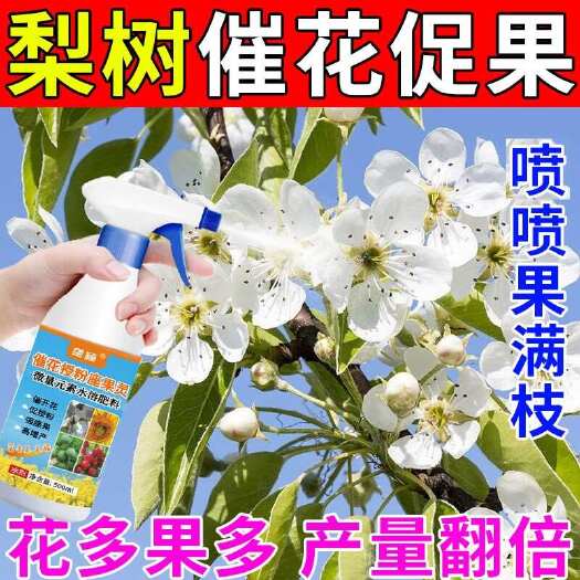 栾川县梨树授粉药坐果灵梨树授粉座果精防落保花保果药梨树沾花药增产剂