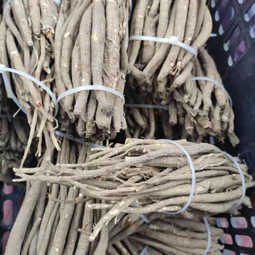 昆明甜当归当归甜当归当归甜当归当归甜当归当归批发
