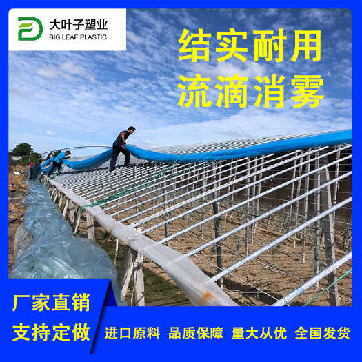 寿光市工厂直发 5+1po膜 抗老化能力强 流滴消雾终生