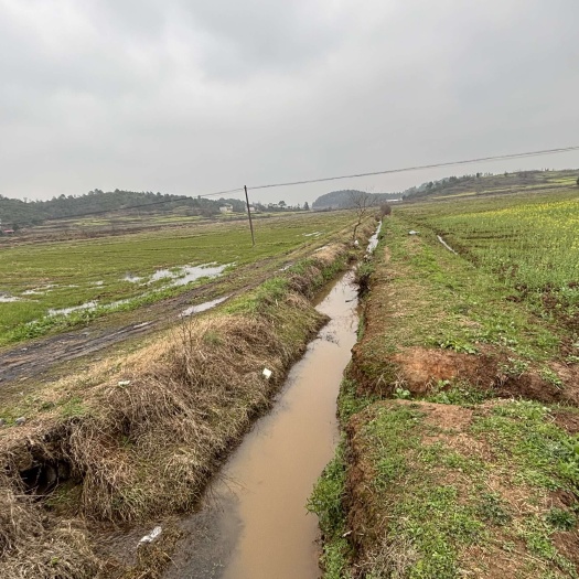 衡阳水稻田800亩左右300/亩水路电三通地势平坦