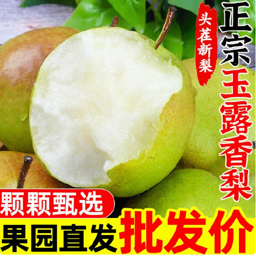 玉露香梨新鲜梨子脆冠苹果梨当季现摘水果红酥甜青梨批发