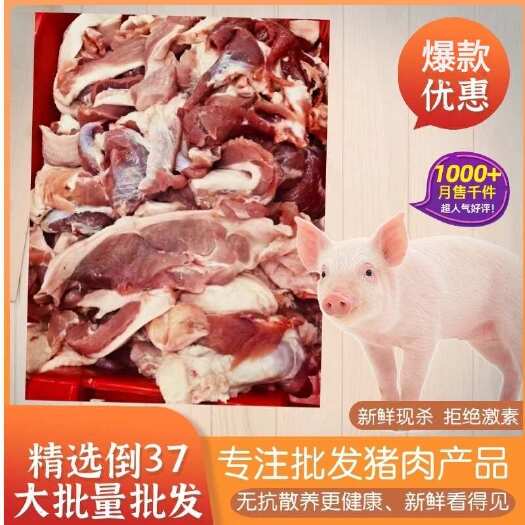 临沭县新鲜冷冻标猪倒三七猪倒46优质肉酒店可做肉馅食材批发大量批发