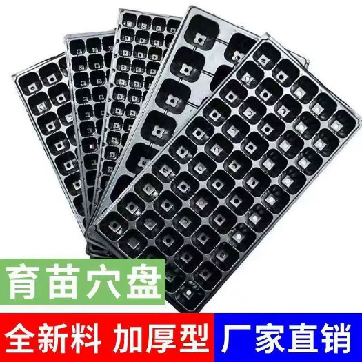 整箱批发育苗穴盘玉米盘穴盘西瓜加厚辣椒蔬菜扦插秧苗草莓托盘