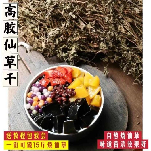 武平县10年老店高胶凉粉草叶子精选正宗潮汕草粿草黑凉粉烧仙草新鲜草