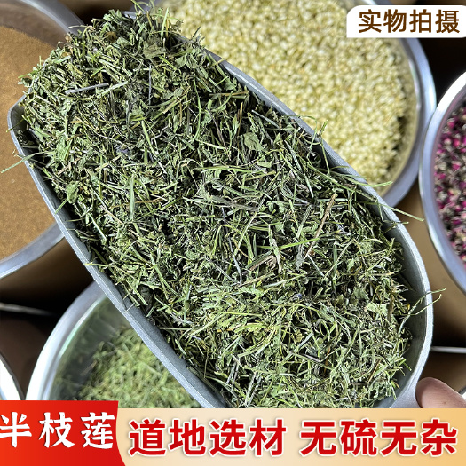 【永康元药业】半枝莲批发韩信草中药材草药