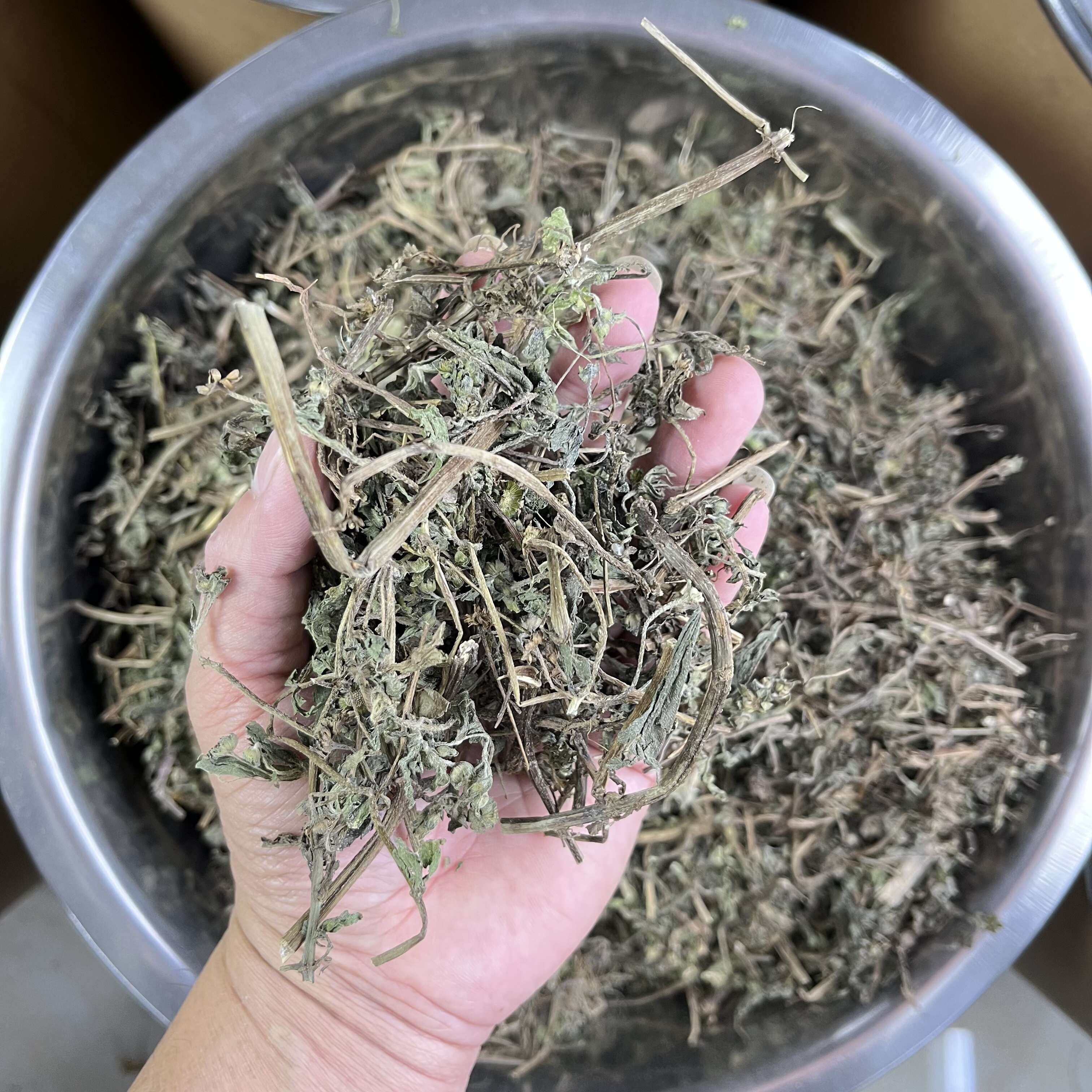 【永康元药业】萹蓄草中药材批发便须草地扁蓄新货中草药