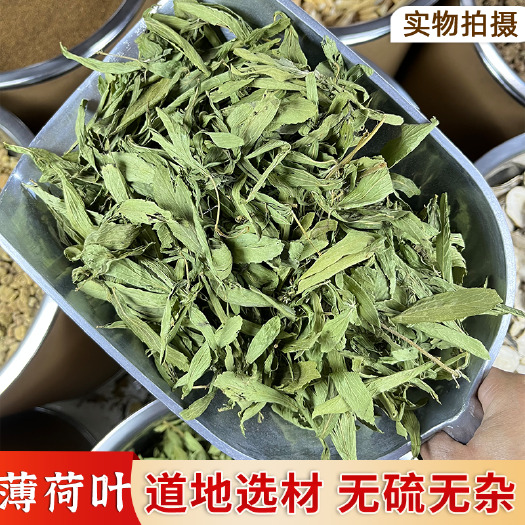 普宁市【永康元药业】薄荷叶批发新鲜干货薄荷叶