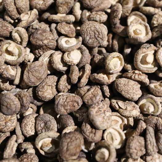 云南昭通鲁甸精选干香菇  高原基地  源头直发