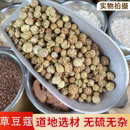 普宁市【永康元药业】草豆寇香料草蔻豆蔻炖肉卤料佐料香料煲汤调料草寇