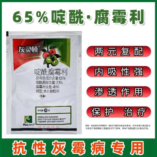 鄄城县灰灵顿65%啶酰腐霉利 啶酰菌胺腐霉利番茄灰霉病农药杀菌剂