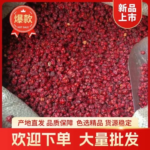 北五味子 长白山发货色选精品货 可以代发 大量拿货可谈