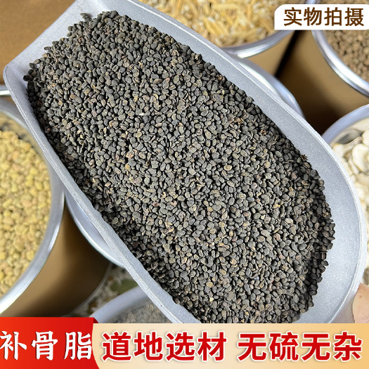 【永康元药业】补骨脂批发 破故纸 黑故子婆固脂中药材