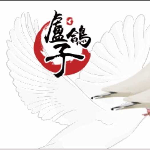 巴中巴中佑佳农业发展有限公司白羽王鸽出售，老中青幼应有尽有！
