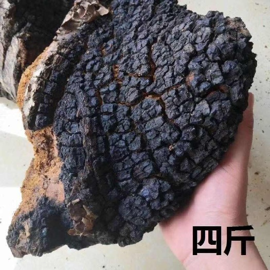 桦树茸桦树茸整个桦树茸切块桦树茸桦树茸整个桦树茸切块批发