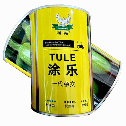 涂乐西葫芦种子早春早熟抗寒抗病毒葫芦瓜绿皮油亮耐热角瓜
