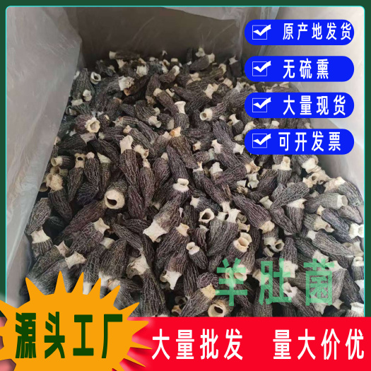 精品羊肚菌今年新货干货菌菇特产农产品煲汤散装批发可开发票